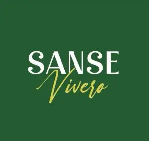 WhatsApp Image 2026-02-20 at 16.20.29