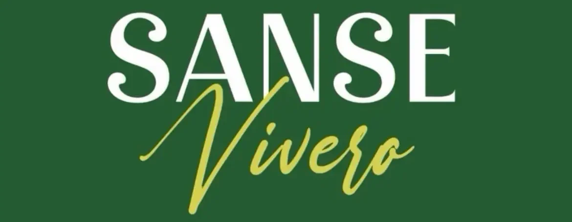 WhatsApp Image 2026-02-20 at 16.20.29